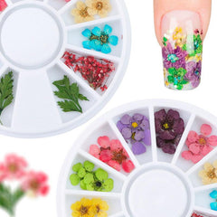 40-Style Nail Art Jewelry Set - Star ,Moon , Alloy & Rivet Designs Soloist
